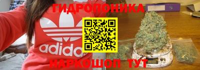МДМА Кингисепп